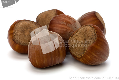 Image of hazelnuts isolated on white background