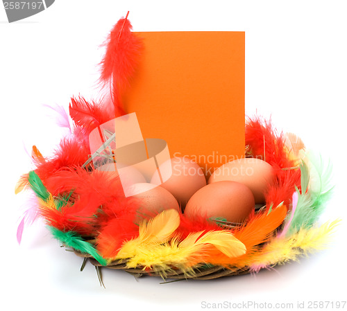 Image of easter decor with card isolated on white background