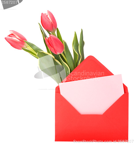 Image of greeting card  with pink tulips  isolated on white background