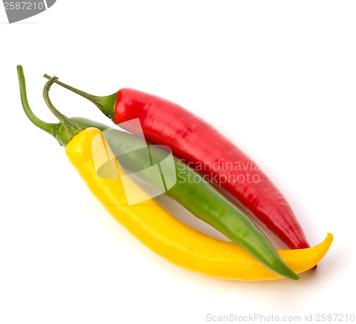 Image of Chili pepper isolated on white background