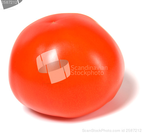 Image of single red tomato isolated  on white background 