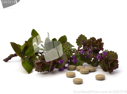 Image of herbal medicine isolated on white background 