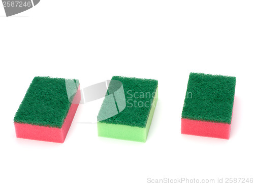 Image of sponges 