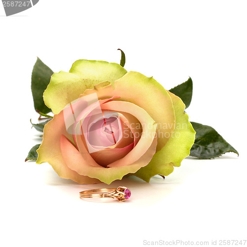 Image of Beautiful rose with wedding ring  isolated on white background 