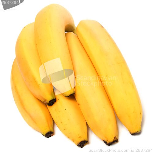 Image of bananas isolated on white background 

