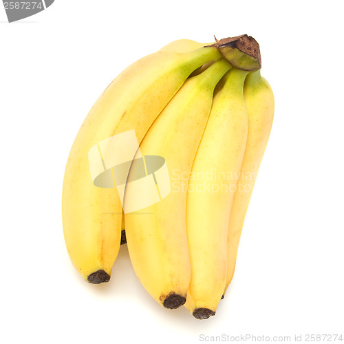 Image of bananas isolated on white background 

