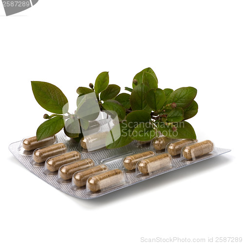 Image of herbal medicine isolated on white background 