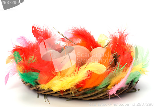 Image of easter egg in nest isolated on white background
