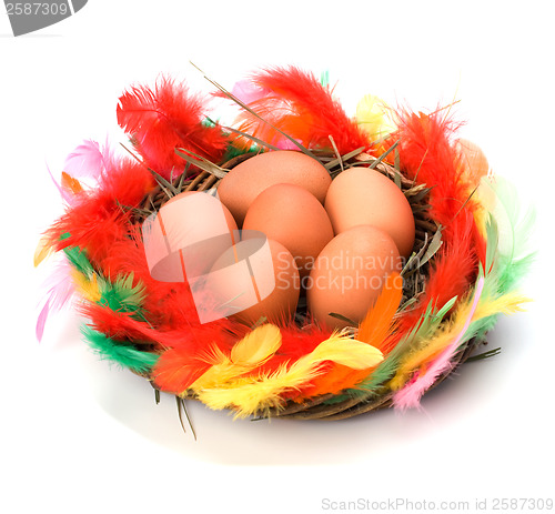 Image of easter egg in nest isolated on white background