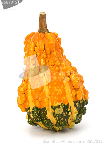 Image of Decorative pumpkin 