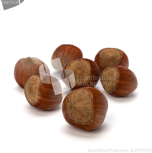 Image of hazelnuts isolated on white background