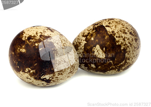 Image of quail eggs