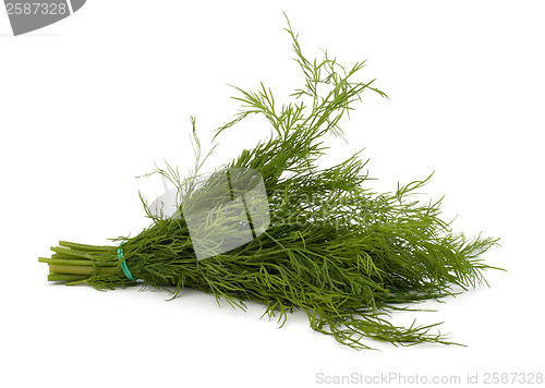 Image of dill isolated on white background