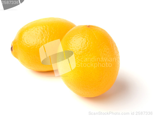 Image of  Two lemons isolated on a white background 

