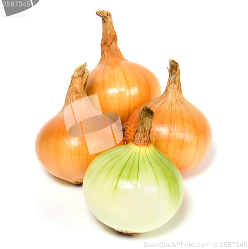 Image of onion isolated on white background