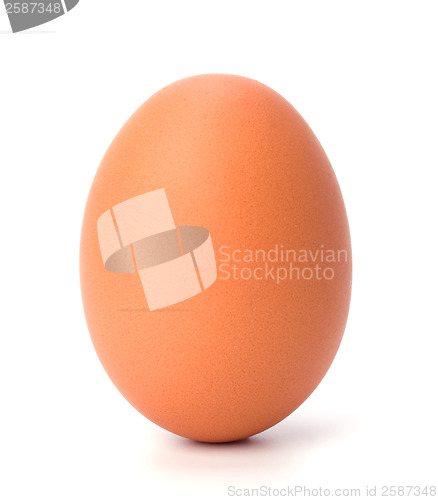 Image of egg isolated on white