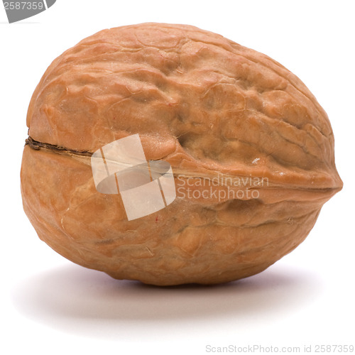 Image of walnut