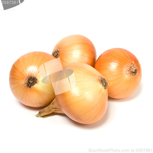 Image of onion isolated on white background