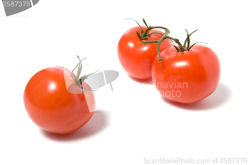 Image of fasten tomato isolated on the white background 