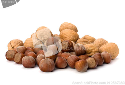 Image of nuts isolated on white background 