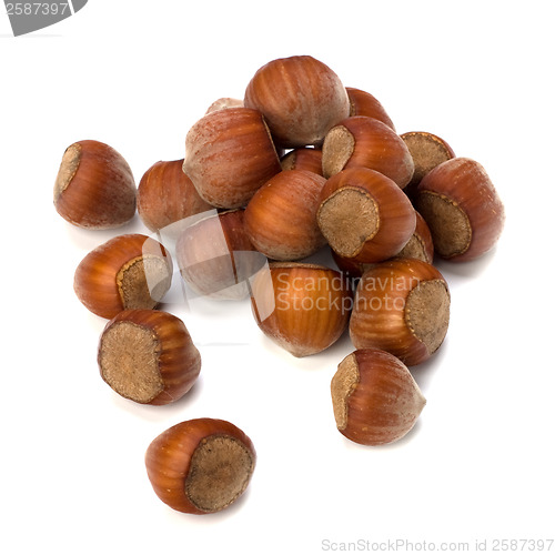 Image of hazelnuts isolated on white background