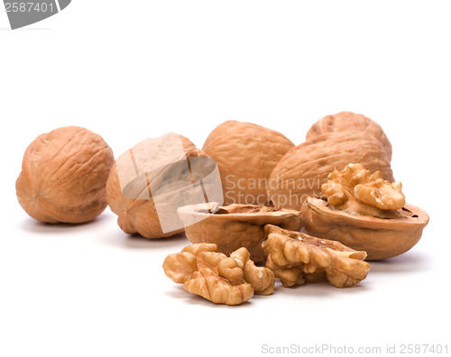 Image of walnut