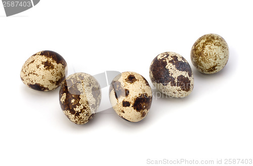 Image of quail eggs