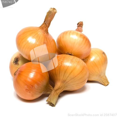 Image of onion isolated on white background