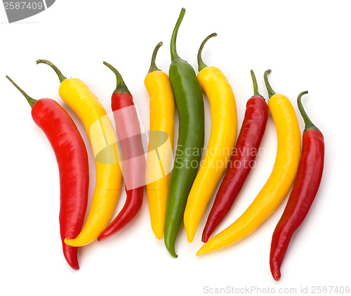 Image of Chili pepper isolated on white background