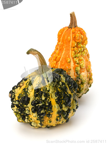 Image of Decorative pumpkin 