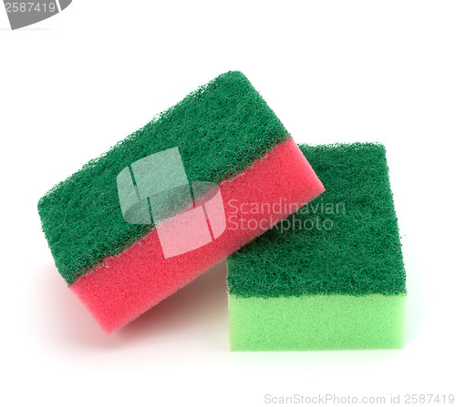 Image of sponges 