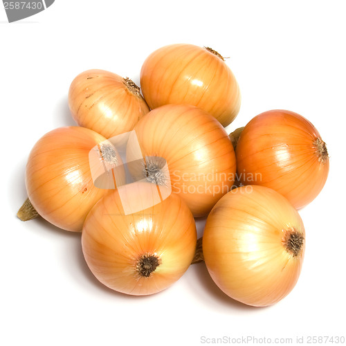 Image of onion isolated on white background