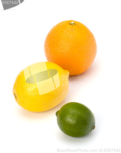 Image of Citrus fruits