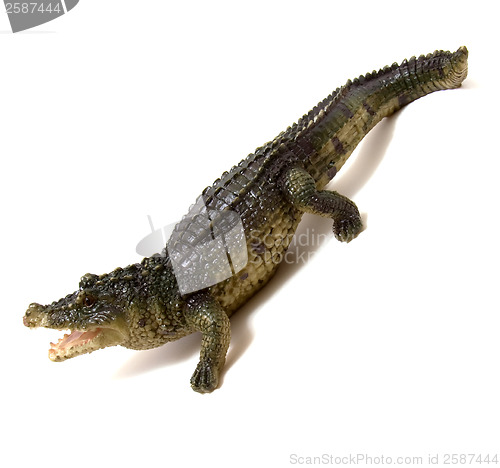 Image of Ceramics crocodile isolated on white background 