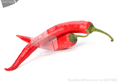 Image of Chili pepper isolated on white background