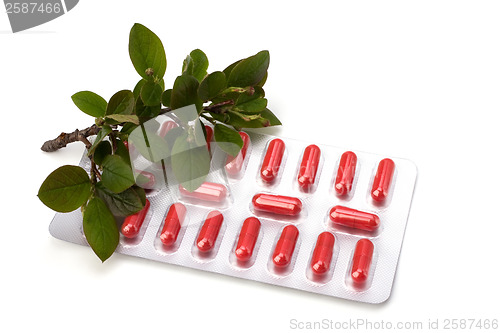 Image of herbal medicine isolated on white background 
