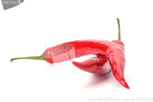 Image of Chili pepper isolated on white background