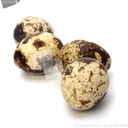 Image of quail eggs