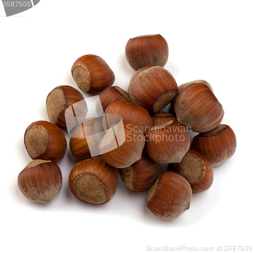 Image of hazelnuts isolated on white background