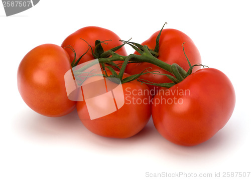 Image of red tomato isolated on the white background 