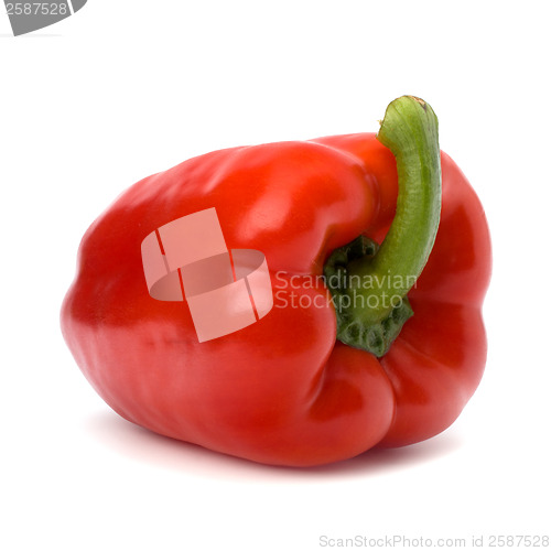 Image of pepper isolated on white background