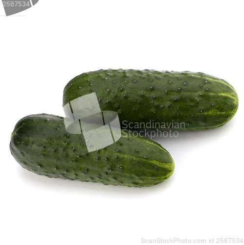 Image of cucumber