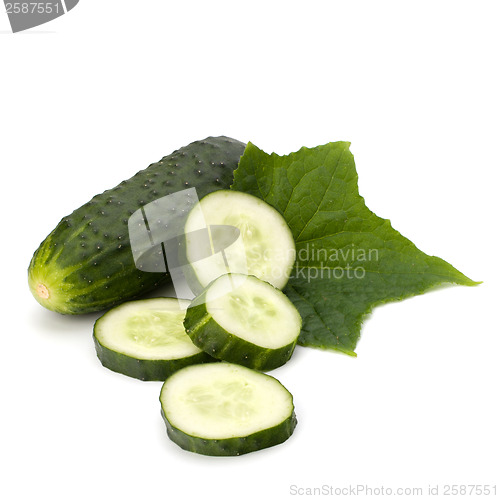 Image of cucumber