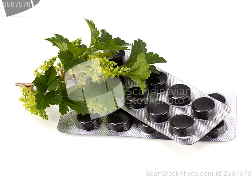 Image of herbal medicine isolated on white background 