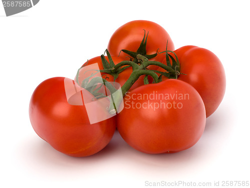 Image of red tomato isolated on the white background 