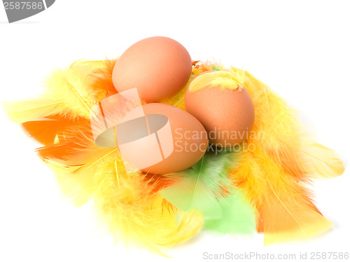 Image of Eggs and feather isolated on white background. Easter decor.