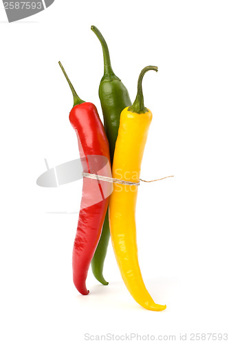 Image of Chili pepper isolated on white background