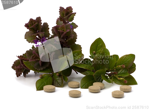 Image of herbal medicine isolated on white background 