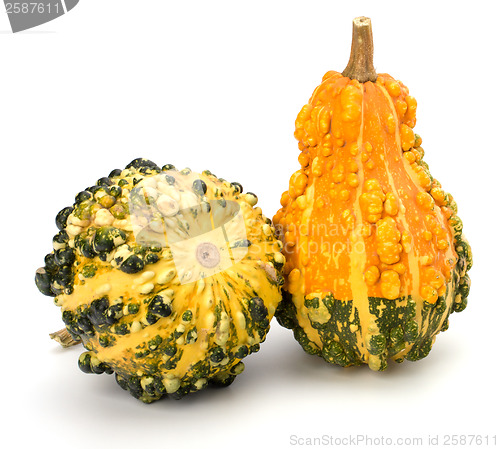 Image of Decorative pumpkin 