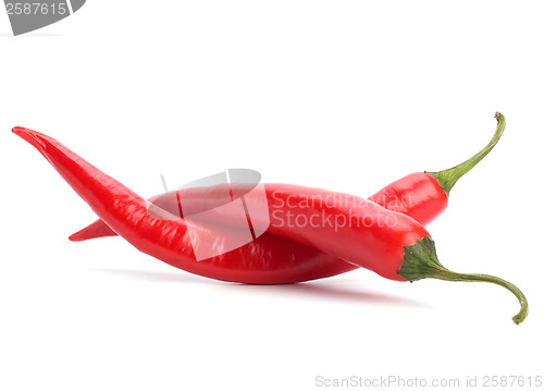 Image of Chili pepper isolated on white background